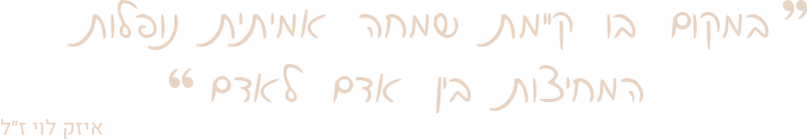 ציטוט